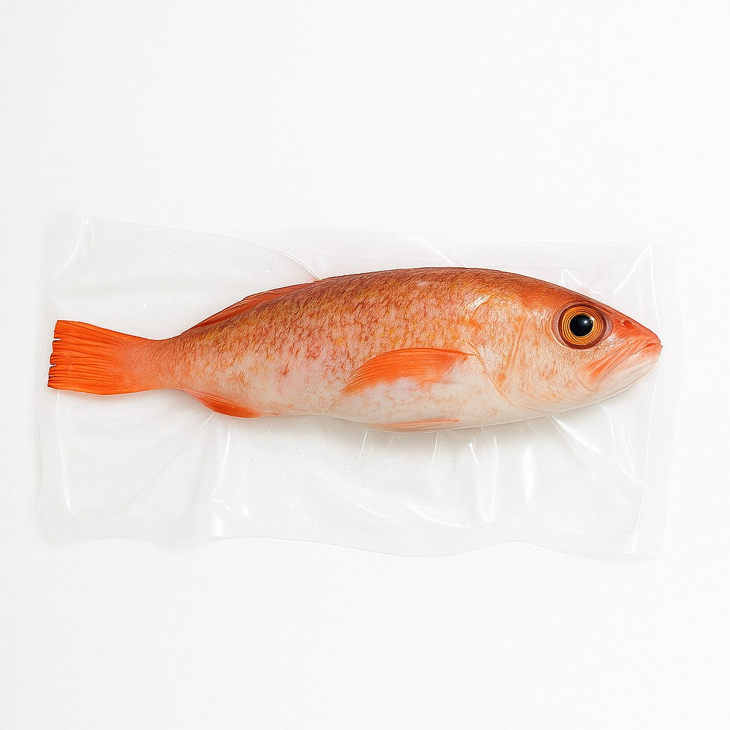 Frozen Akamutsu Whole Fish (Blackthroat Seaperch) - 400-500g