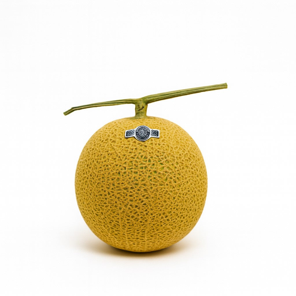Japanese Musk Melon (Crown Melon)