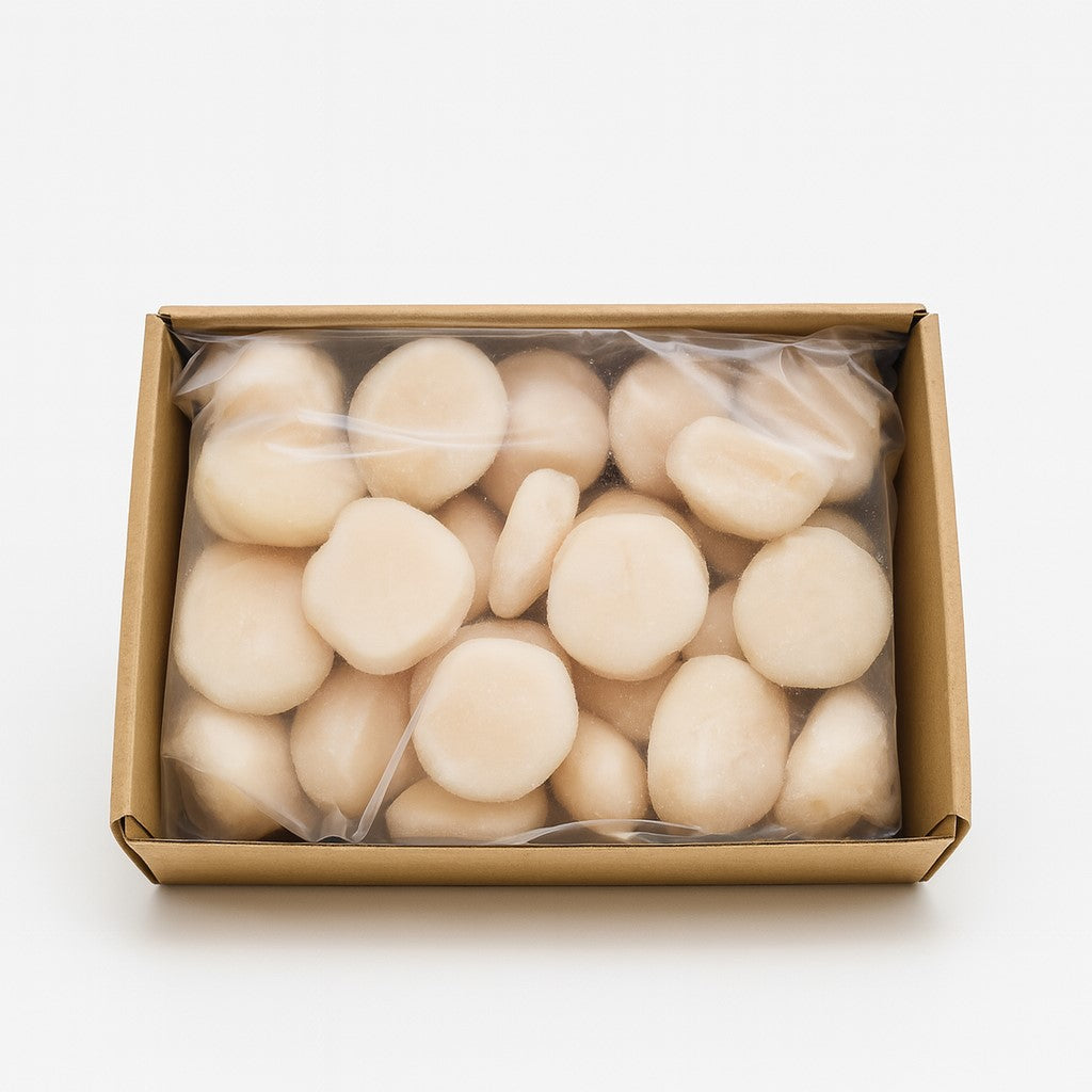 Frozen Hokkaido Hotate (Scallops) - M Size